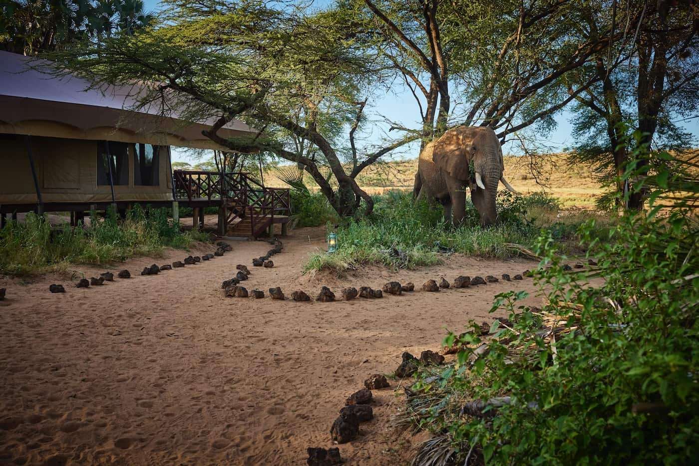 Elephant Bedroom Camp - photo 3
