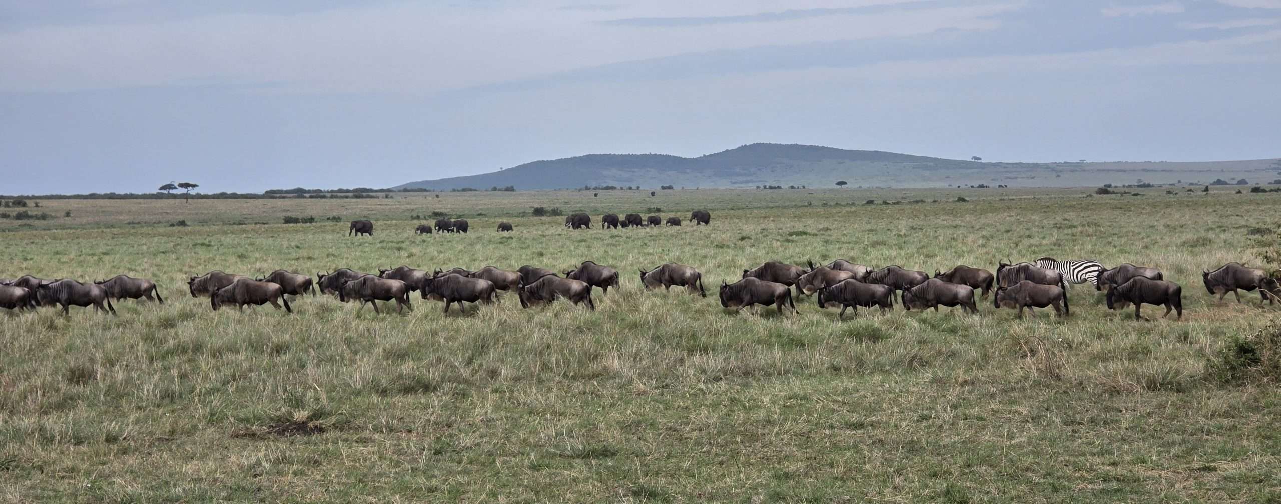 Mountain safari and trekking adventure in East Africa with VPAAL