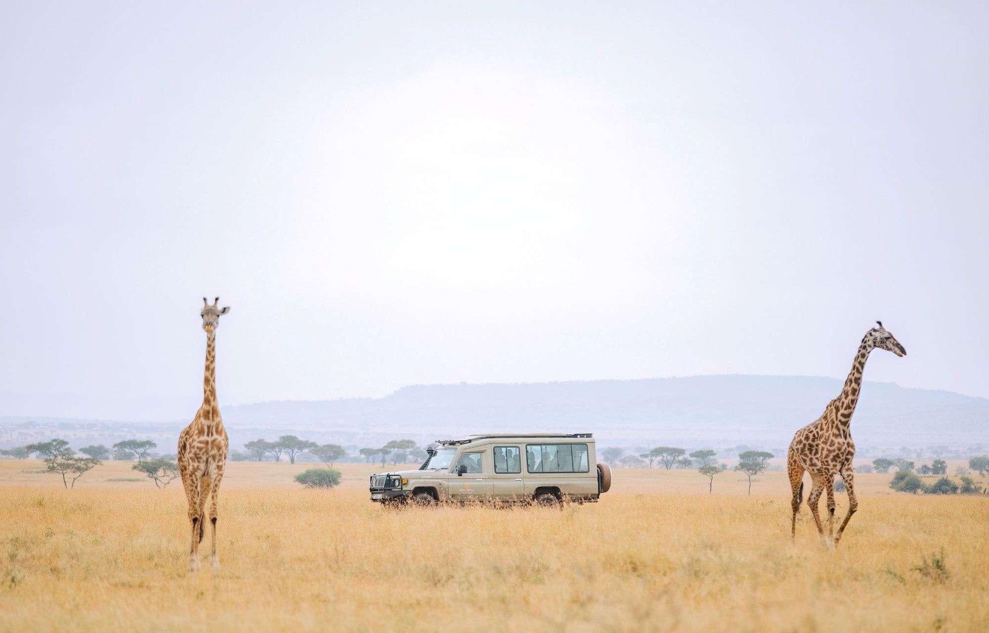 Mara Serena Safari Lodge - photo 3