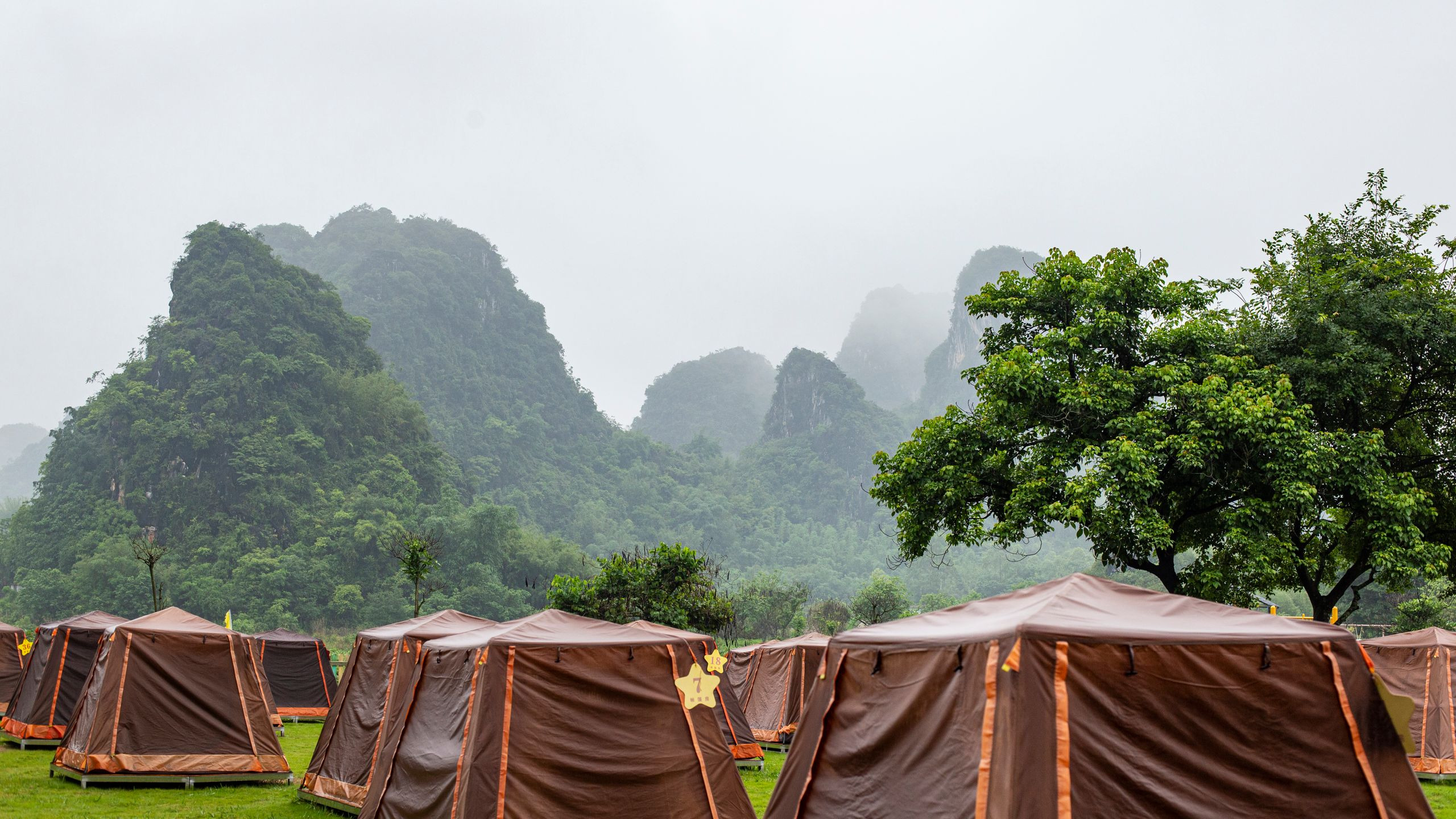 Safari tents in a lush campsite with mountains in the background