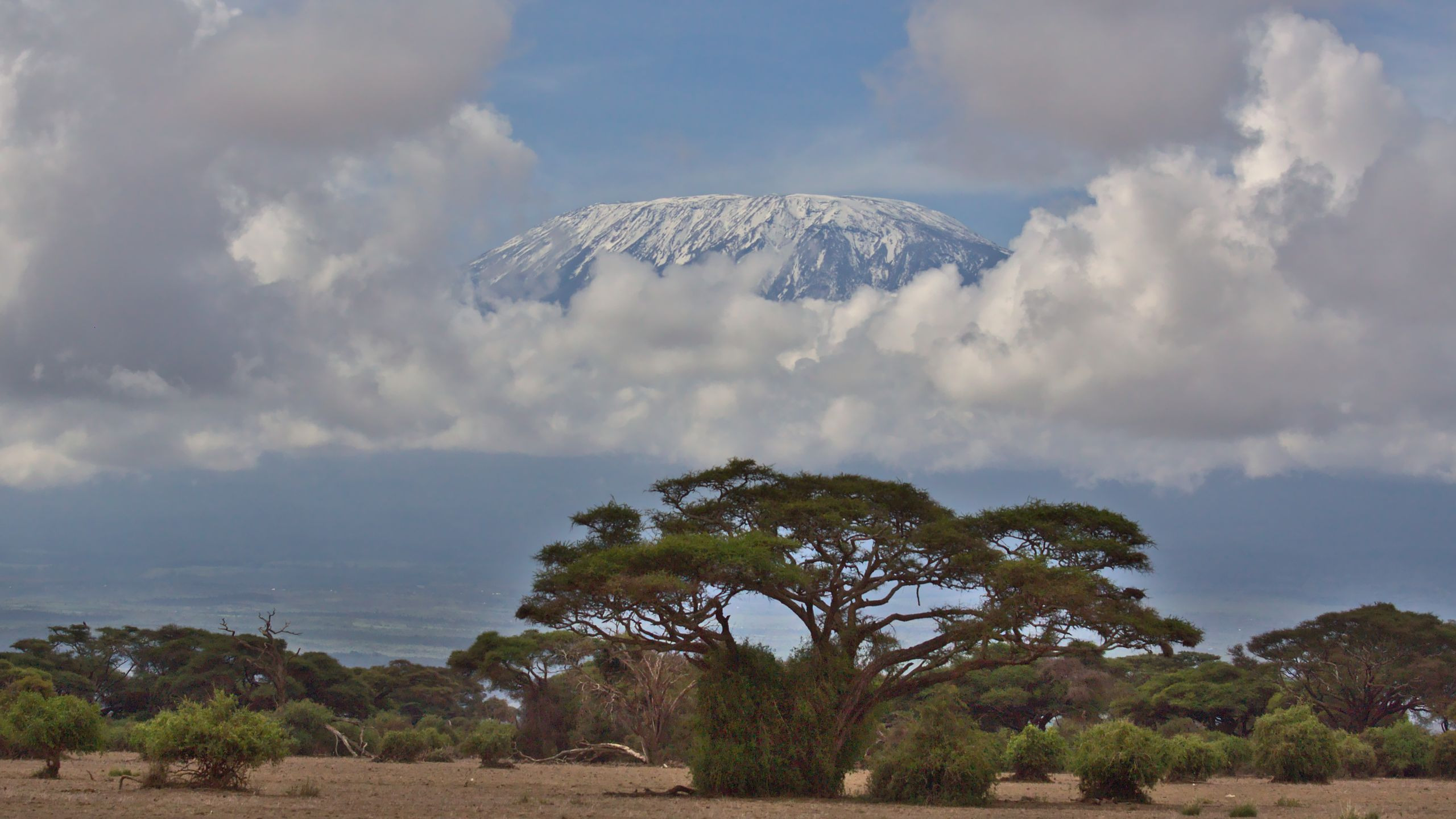 Tulia Amboseli Safari Camp - photo 3