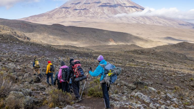 Hikers trekking the rugged trails of Mount Kilimanjaro in Tanzania