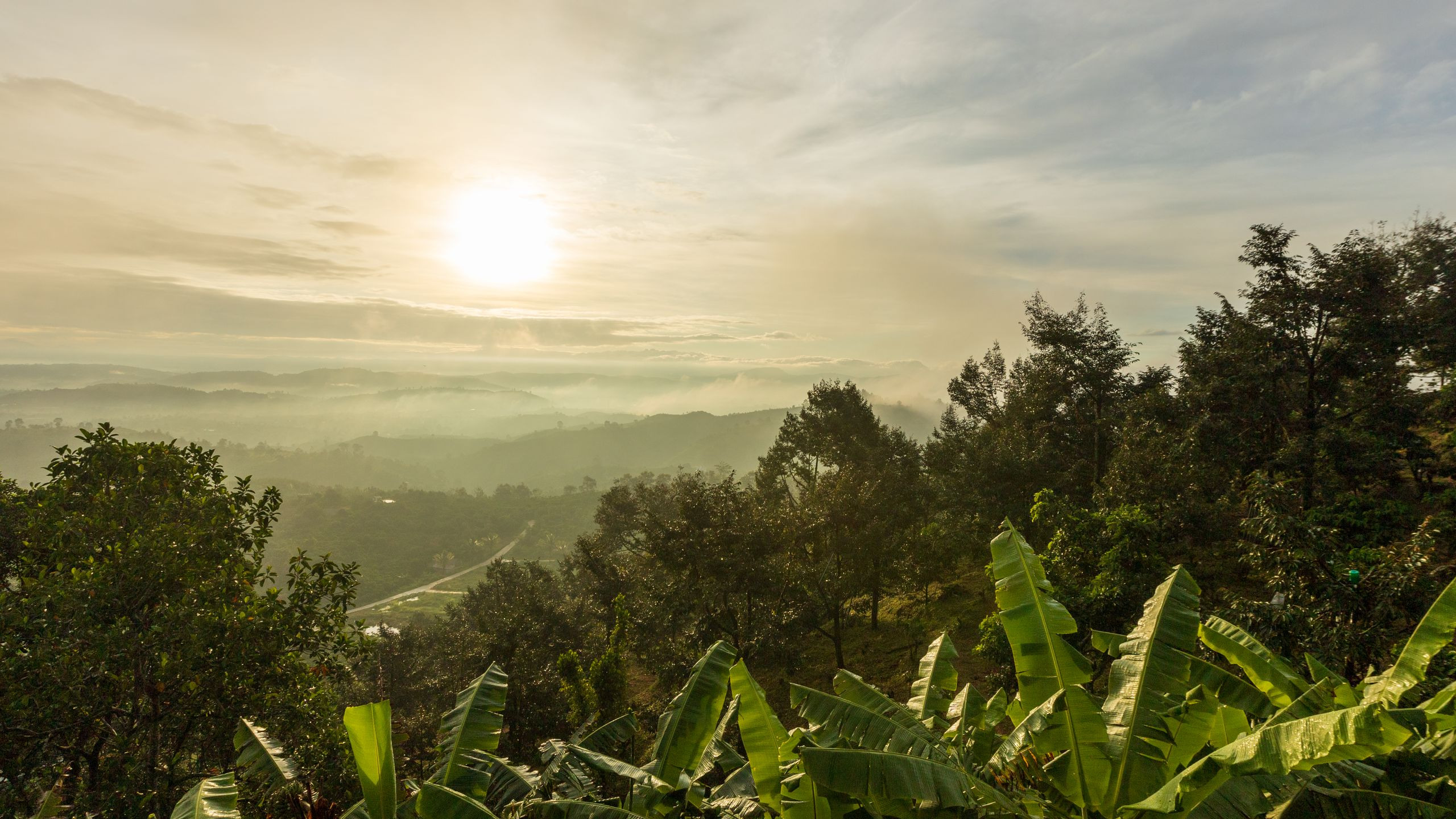 Sunrise breaking through mist over the dense, forested hills of Bwindi Impenetrable Forest