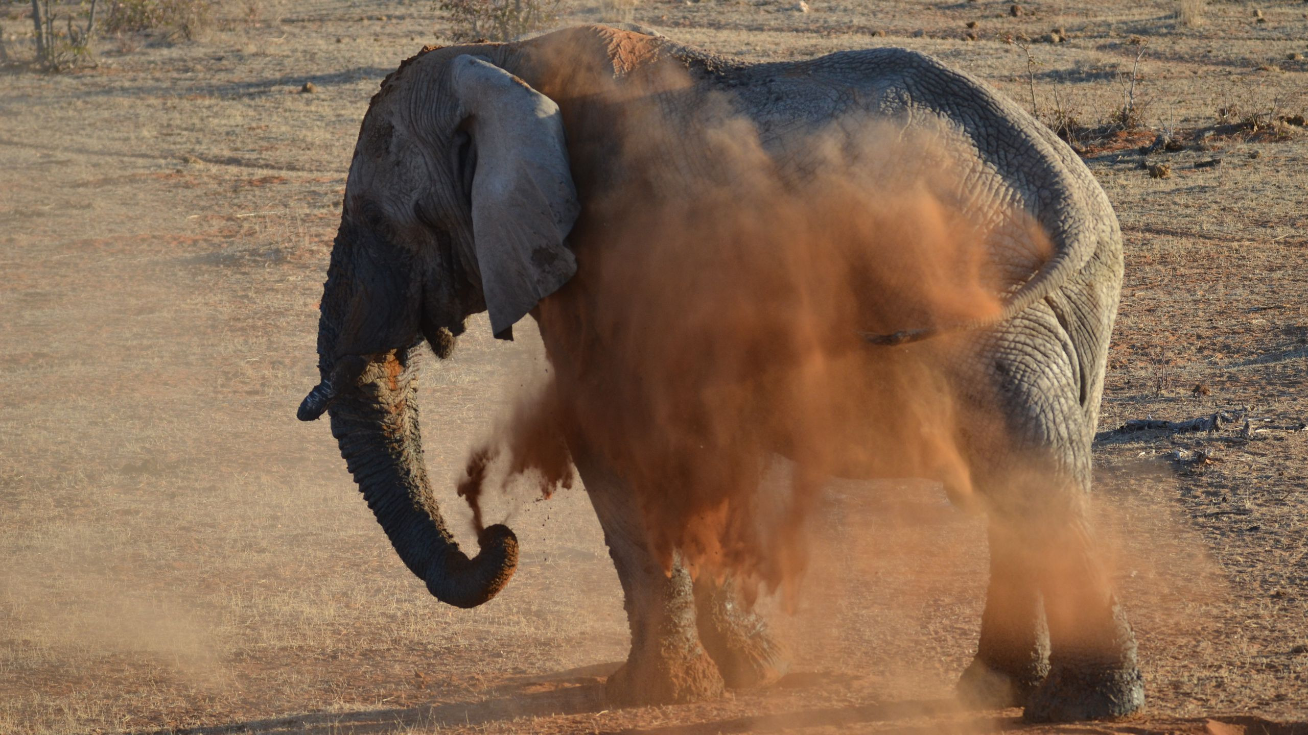 Sentrim Tsavo Lodge - photo 1
