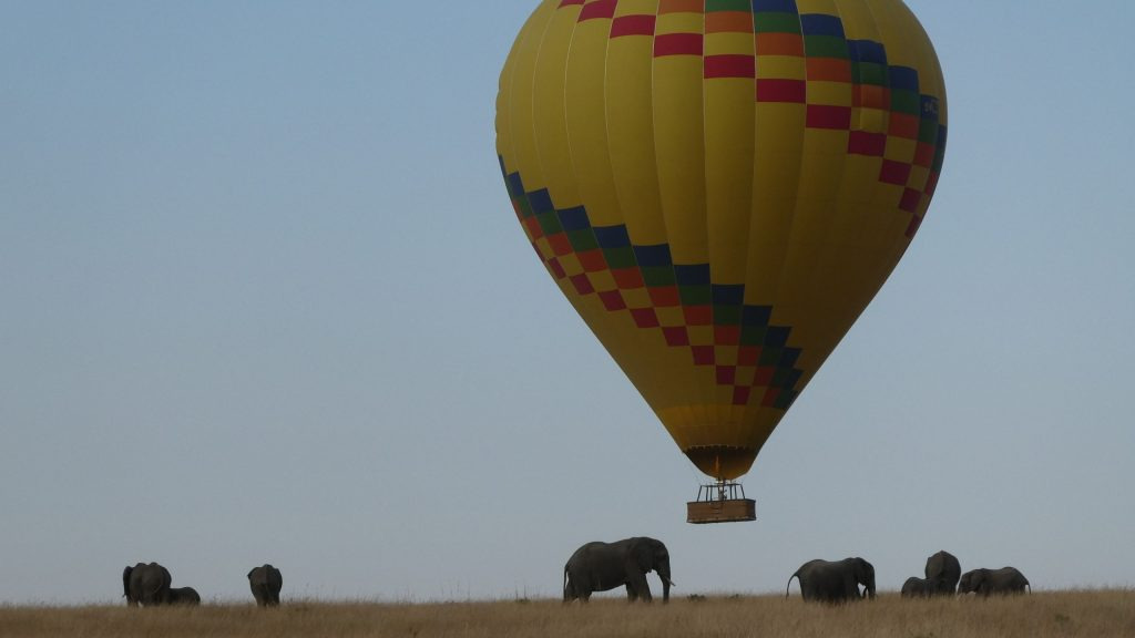 A hot air balloon drifts above a herd of elephants crossing the open African savannah at dawn.