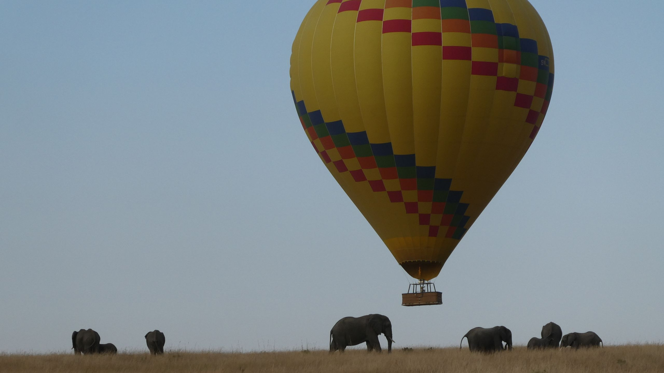 A hot air balloon drifts above a herd of elephants crossing the open African savannah at dawn.