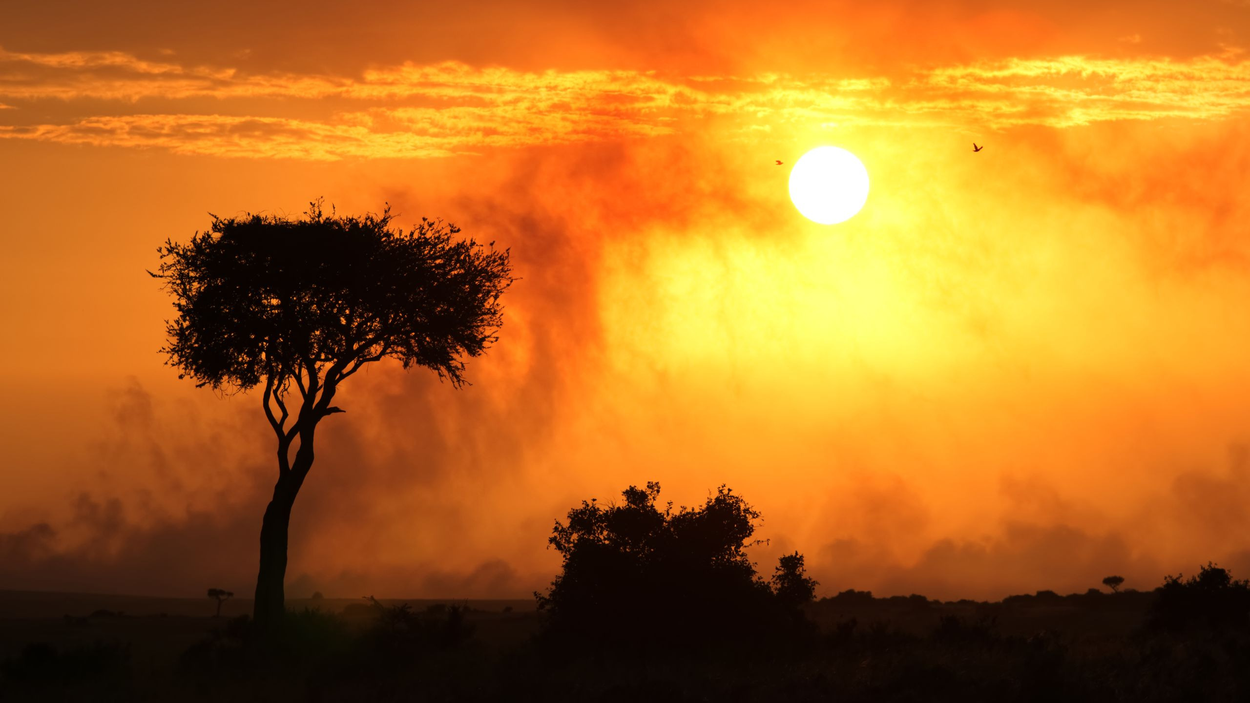 Mara Maisha Camp - photo 3