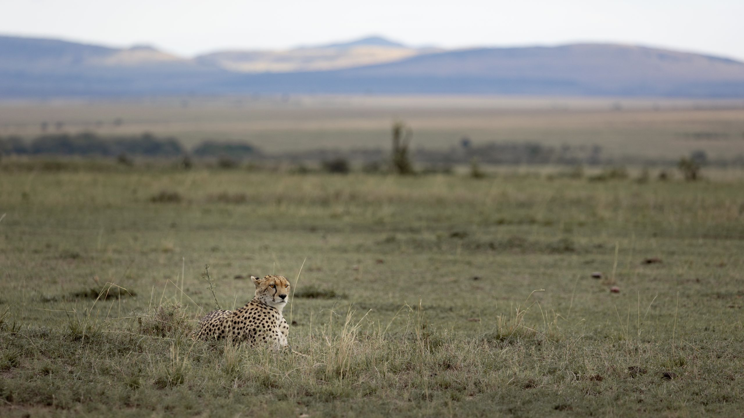 Mara Leisure Camp - photo 1