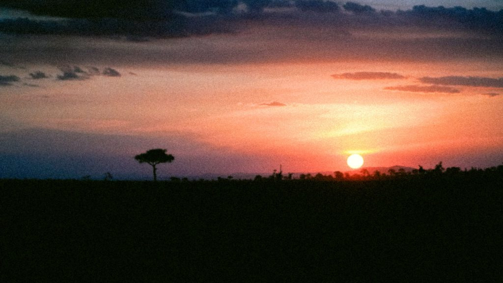 Golden sunset over the Kenyan savannah with a lone acacia tree silhouette