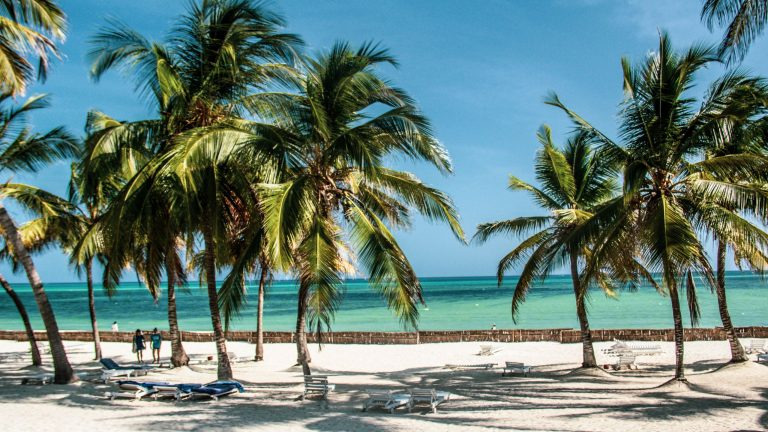 Tall coconut palms lean over a white sand beach beside the turquoise water of the Indian Ocean.