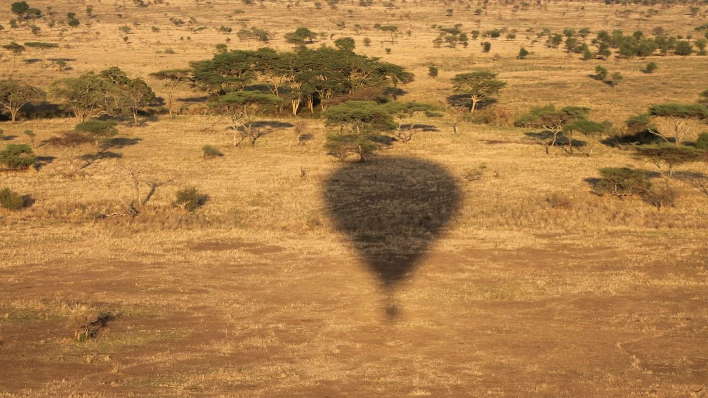 The shadow of a hot air balloon glides over the vast open plains of the African savannah.