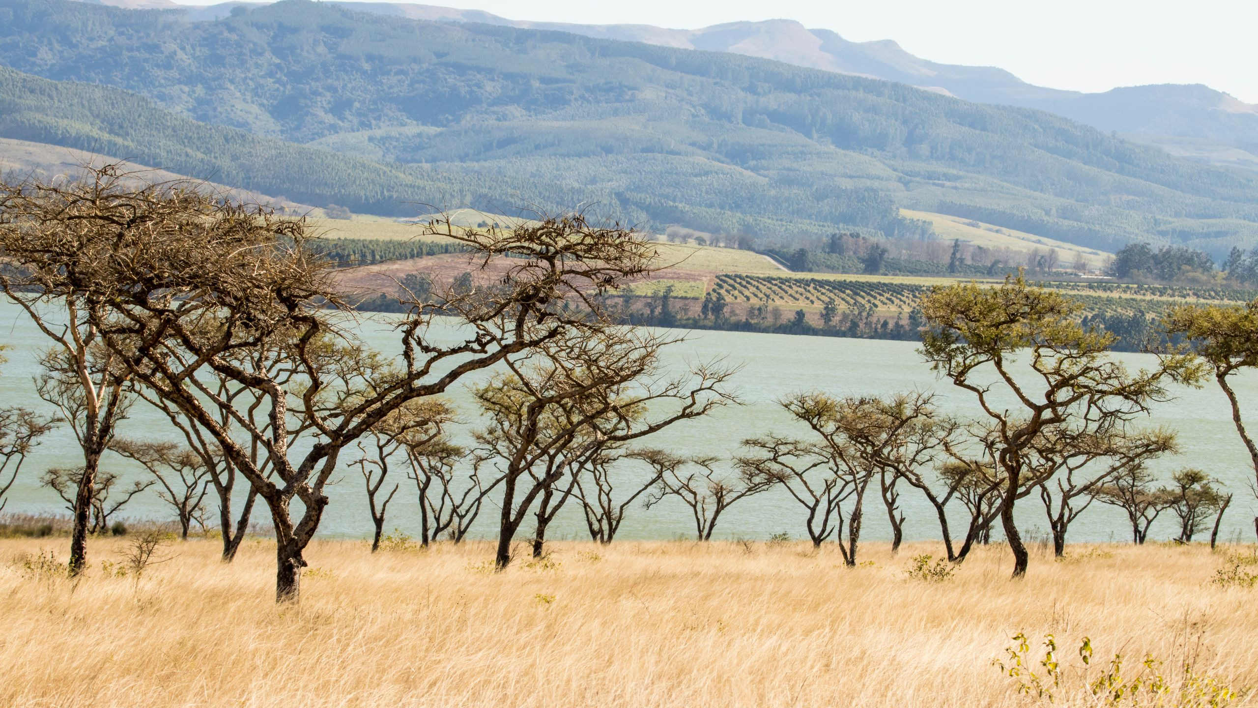 Elsamere Lodge - photo 3