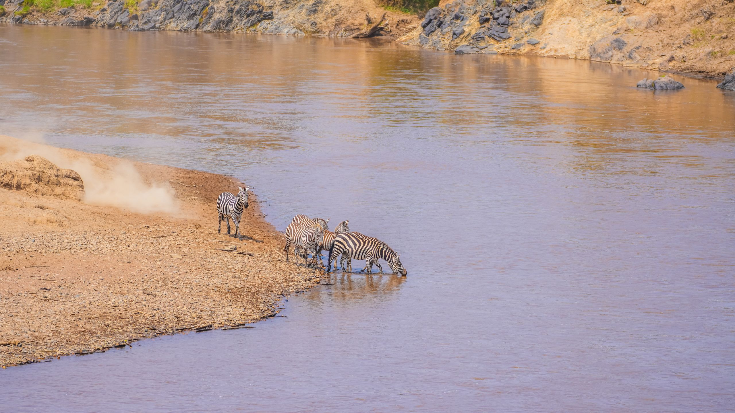 Mara River Lodge - photo 3