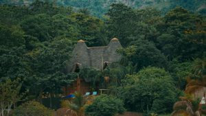 Thatched-roof lodge building set among green grounds in the Laikipia countryside