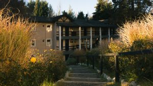 Rustic safari lodge framed by a garden pathway in warm golden sunlight