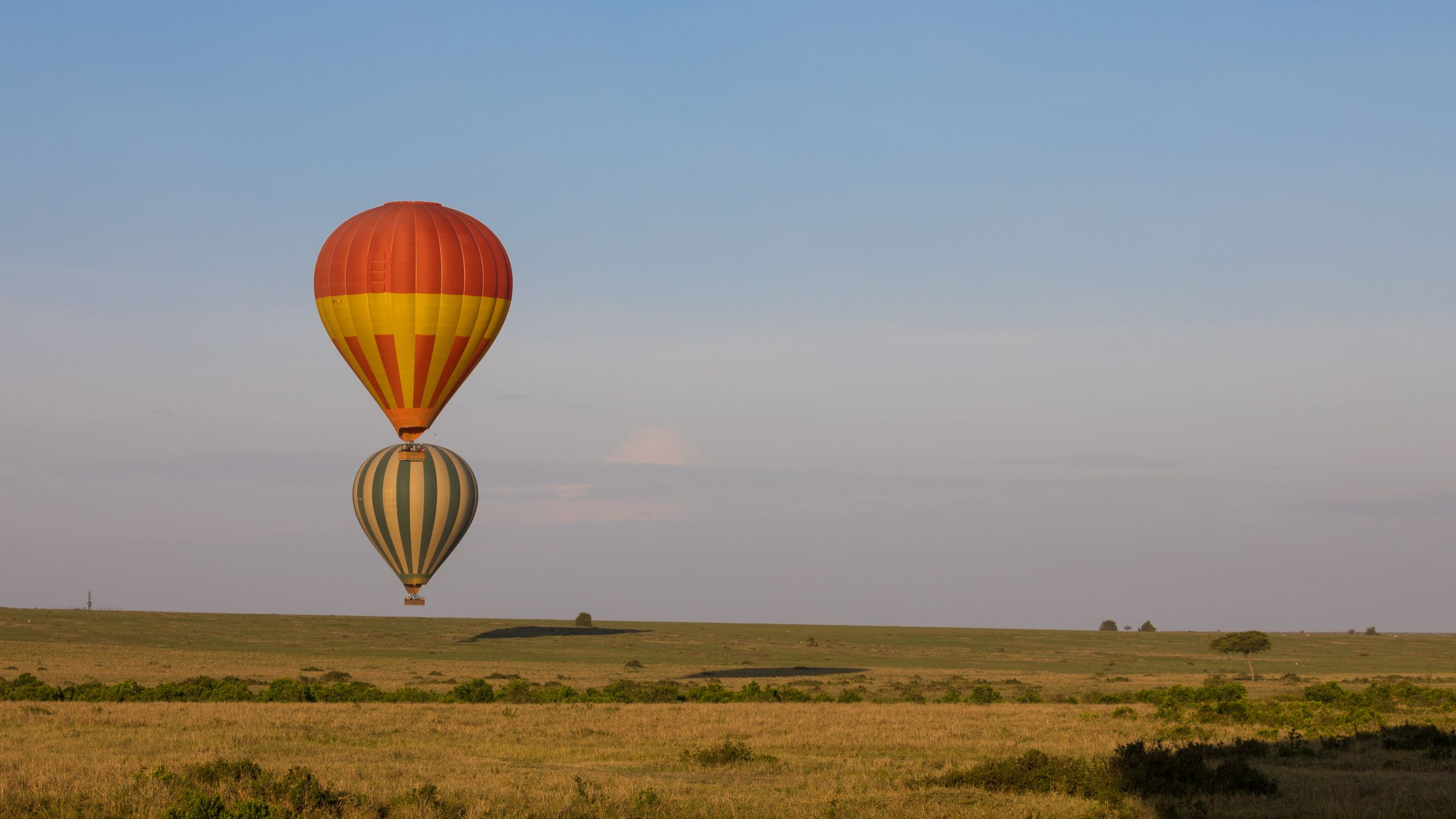 Hot air balloons drifting low over the Maasai Mara plains at sunrise