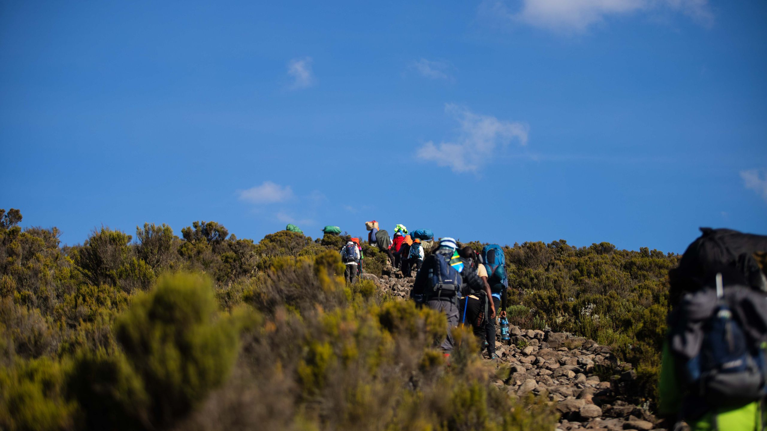 Group of hikers climbing a scenic trail on Mount Kilimanjaro