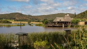 Countryside lodge with thatched roof set beside a peaceful lake and surrounded by lush hills, Lake Naivasha
