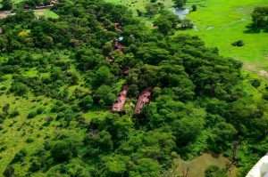 Aerial view of Amboseli Serena Safari Lodge surrounded by lush vegetation