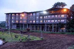 Treetops Lodge stilted tree hotel in the evening light, Aberdare National Park